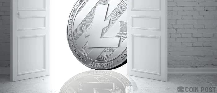 ライトコイン(LTC)とは?特徴・将来性・買い方を徹底解説