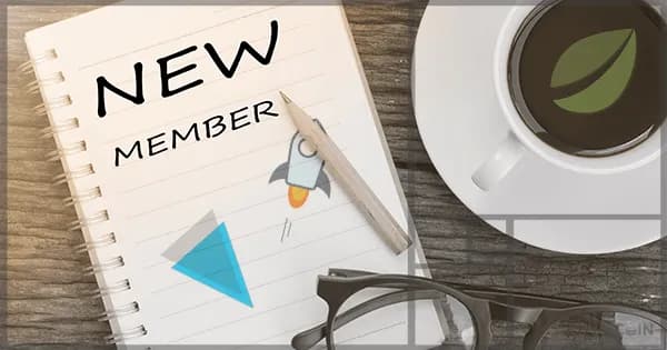 大手取引所Bitfinex:Stellar(XLM)とVerge(XVG)上場・XLMとXVG価格共に高騰