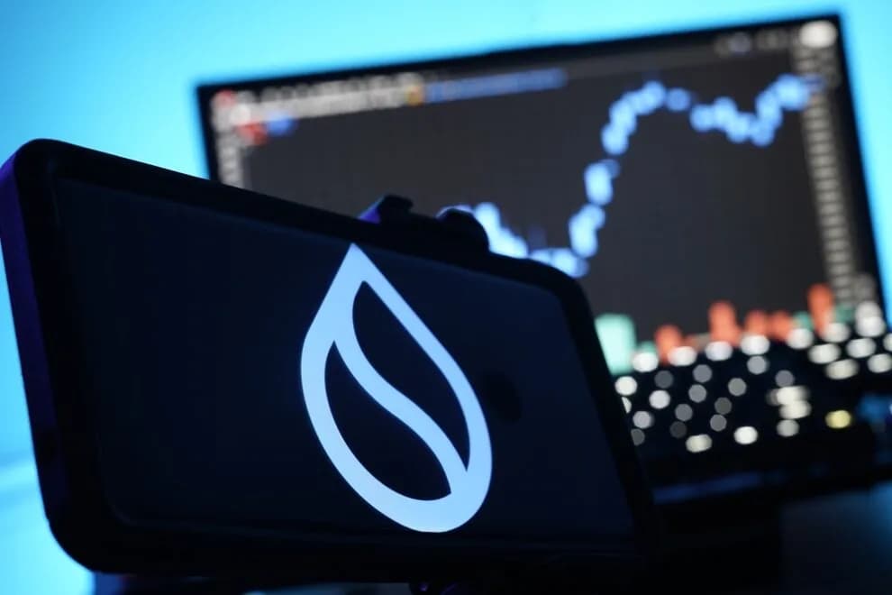 Suiブロックチェーン、今年2度目のメインネット停止 | NADA NEWS(ナダ・ニュース)