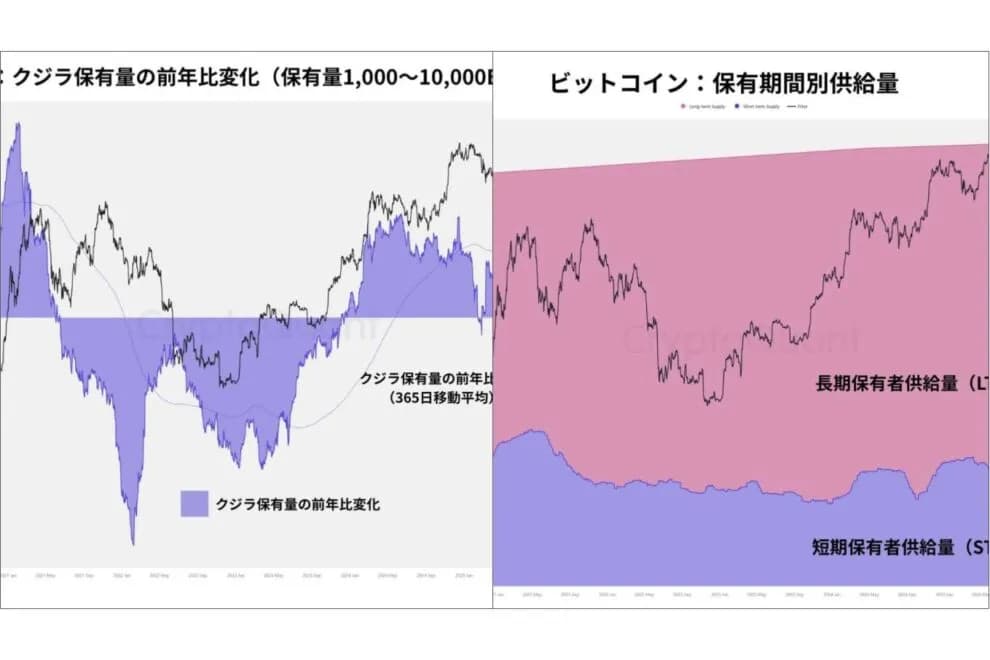 「長期保有者は過去最高」なのに、なぜビットコインは上がらないのか──CryptoQuantレポートから読む“買い手不在の市場”【エックスウィン】 | NADA NEWS(ナダ・ニュース)