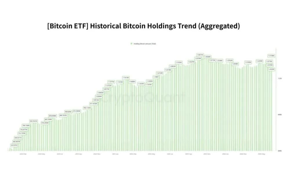 ビットコインETF市場を動かす3つのプレイヤー|ヘッジファンド・RIA・機関投資家とは何者なのか【エックスウィン】
