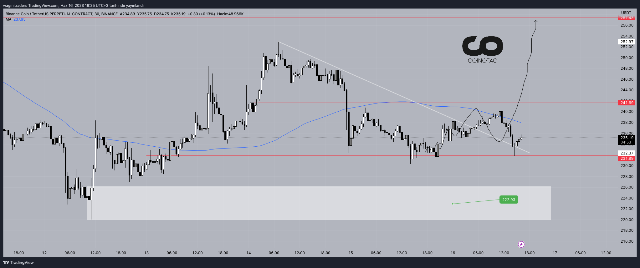 30分間のBNB/USD価格チャート